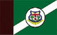 Bandeira Moju PA bandeira Moju PA