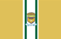 Bandeira Curionópolis PA bandeira Curionópolis PA