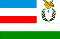 Bandeira Juruti PA bandeira Juruti PA