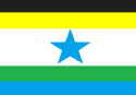 Bandeira Nova Ipixuna PA bandeira Nova Ipixuna PA