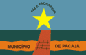 Bandeira Pacajá PA bandeira Pacajá PA