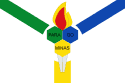 Bandeira Paragominas PA bandeira Paragominas PA