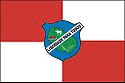 Bandeira Rondon do Pará PA bandeira Rondon do Pará PA