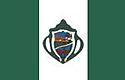 Bandeira Santa Cruz do Arari PA bandeira Santa Cruz do Arari PA