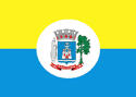 Bandeira Santarém PA bandeira Santarém PA