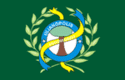 Bandeira Ulianópolis PA bandeira Ulianópolis PA
