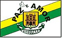 Bandeira Viseu PA bandeira Viseu PA