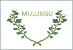 Bandeira Mulungu PB bandeira Mulungu PB