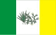 Bandeira Picuí PB bandeira Picuí PB