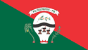 Bandeira Pilõezinhos PB bandeira Pilõezinhos PB