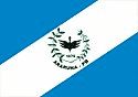 Bandeira Araruna PB bandeira Araruna PB