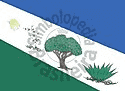 Bandeira Juazeirinho PB bandeira Juazeirinho PB