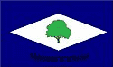 Bandeira Massaranduba PB bandeira Massaranduba PB