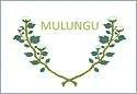 Bandeira Mulungu PB bandeira Mulungu PB