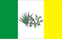 Bandeira Picuí PB bandeira Picuí PB