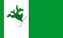 Bandeira Soledade PB bandeira Soledade PB