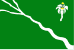Bandeira Belo Jardim PE bandeira Belo Jardim PE