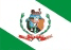 Bandeira Bezerros PE bandeira Bezerros PE
