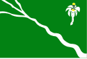 Bandeira Belo Jardim PE bandeira Belo Jardim PE