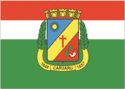 Bandeira Caruaru PE bandeira Caruaru PE