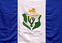 Bandeira Petrolândia PE bandeira Petrolândia PE