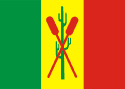 Bandeira Petrolina PE bandeira Petrolina PE