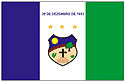 Bandeira Santa Cruz do Capibaribe PE bandeira Santa Cruz do Capibaribe PE