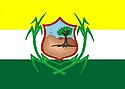 Bandeira Timbaúba PE bandeira Timbaúba PE