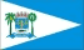 Bandeira Miguel Alves MA bandeira Miguel Alves MA