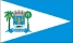 Bandeira Miguel Alves PI bandeira Miguel Alves PI