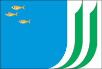 Bandeira Nossa Senhora dos Remédios PI bandeira Nossa Senhora dos Remédios PI