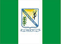 Bandeira Pio IX PI bandeira Pio IX PI