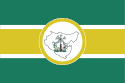 Bandeira Piripiri PI bandeira Piripiri PI