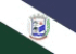 Bandeira Coronel Domingos Soares PR bandeira Coronel Domingos Soares PR