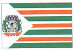 Bandeira Coronel Vivida PR bandeira Coronel Vivida PR