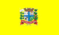 Bandeira Paranavaí PR bandeira Paranavaí PR