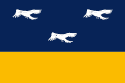 Bandeira Arapongas PR bandeira Arapongas PR