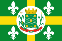 Bandeira Arapoti PR bandeira Arapoti PR