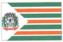 Bandeira Coronel Vivida PR bandeira Coronel Vivida PR
