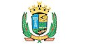 Bandeira Figueira PR bandeira Figueira PR