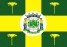 Bandeira Jaguariaíva PR bandeira Jaguariaíva PR