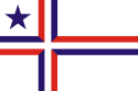 Bandeira Palotina PR bandeira Palotina PR