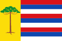 Bandeira Pitanga PR bandeira Pitanga PR
