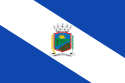 Bandeira Ribeirão do Pinhal PR bandeira Ribeirão do Pinhal PR