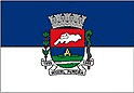 Bandeira Miguel Pereira RJ bandeira Miguel Pereira RJ