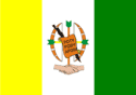 Bandeira Apodi RN bandeira Apodi RN
