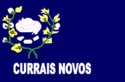 Bandeira Currais Novos RN bandeira Currais Novos RN