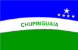 Bandeira Chupinguaia RO bandeira Chupinguaia RO