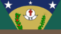 Bandeira São Felipe D'Oeste RO bandeira São Felipe D'Oeste RO