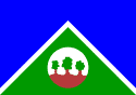 Bandeira Alta Floresta D'Oeste RO bandeira Alta Floresta D'Oeste RO